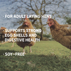 New Country Organics cáscara de huevo más firme gracias a una nutrición de calidad.