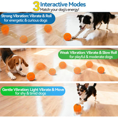Newget bola con 3 modos para liberar energía de tu perro durante el juego.