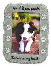 NewLifeLandia marco memorial mascota 4x6 gris, ideal para recordar a tu perro o gato