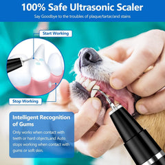 Tecnología ultrasónica de Ni-SHEN para limpieza dental segura en mascotas