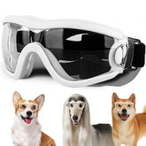 Gafas NICERINC PET para perro mediano con correa ajustable y confort.