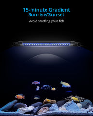 NICREW ClassicLED Gen 2: controles de dos canales para ajustar blanco y azul.