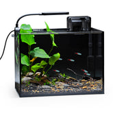 NICREW Nano Nature acuario de escritorio con luz integrada para vistas claras.