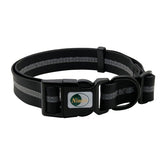 NIMBLE collar resistente al agua para perros, ideal para paseos mojados