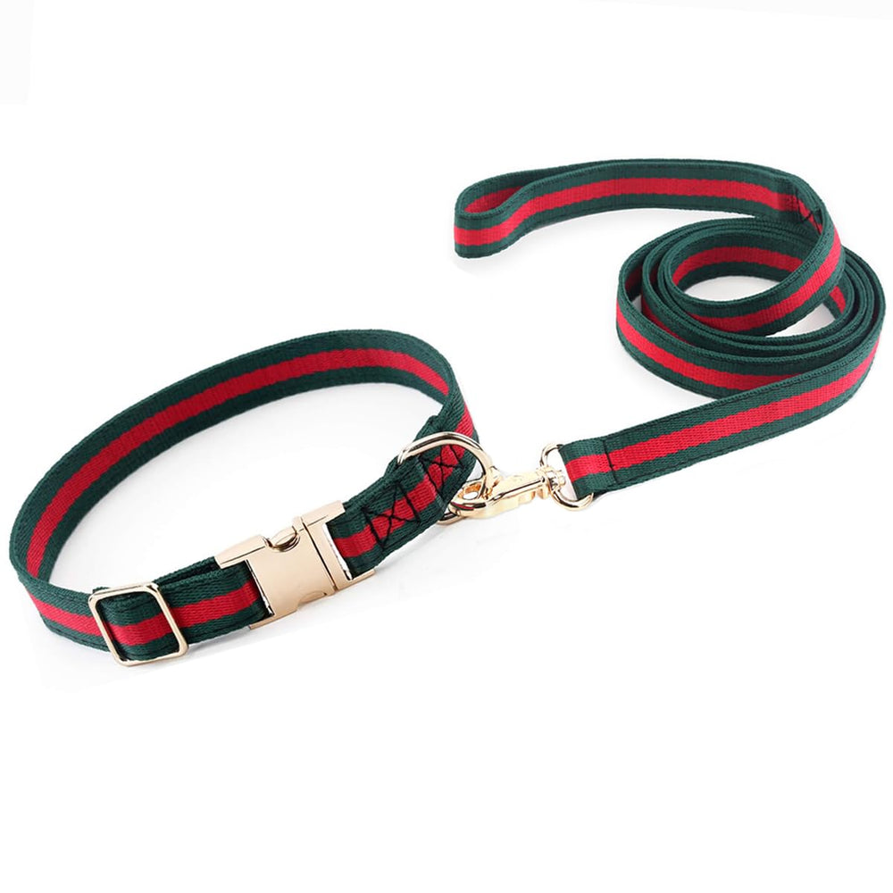 Collar NISIYE para perro mediano con estilo de lujo para paseos elegantes.