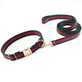Collar NISIYE para perro mediano con estilo de lujo para paseos elegantes.