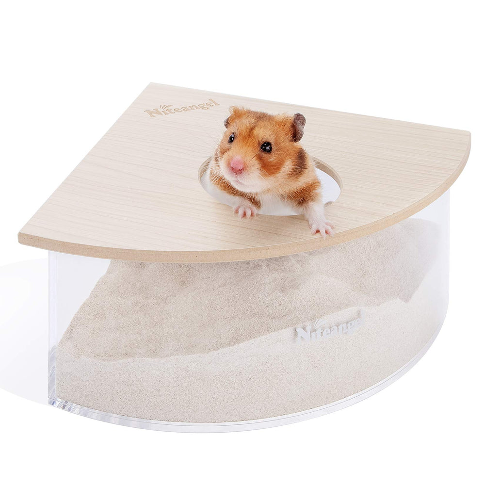 Caja de arena triangular de Niteangel para hámster observando su exploración en el interior.