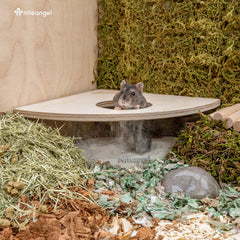 Niteangel diseño triangular ahorra espacio, encaja en esquinas de jaula