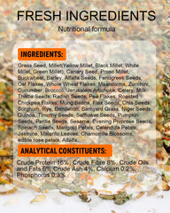 Niteangel mezcla de semillas y verduras para hámster enano, sabor variado.