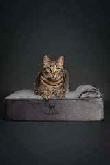 Cama NOAH & PAW, cubierta interna lavable para higiene fácil.