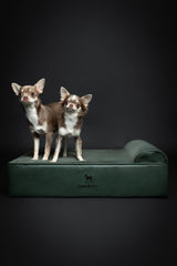 NOAH & PAW funda impermeable para cama de perro y limpieza fácil