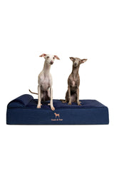 NOAH & PAW cama grande para perros: espuma memoria con gel enfriante para confort duradero.