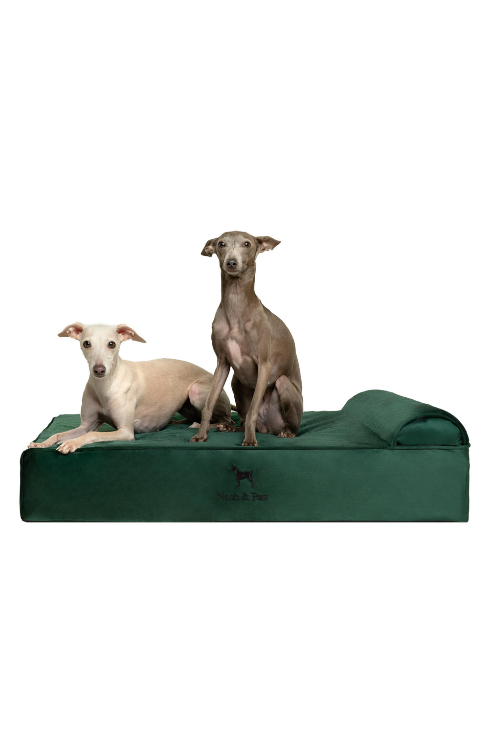 Cama NOAH & PAW grande con espuma de memoria y gel enfriante para perros.