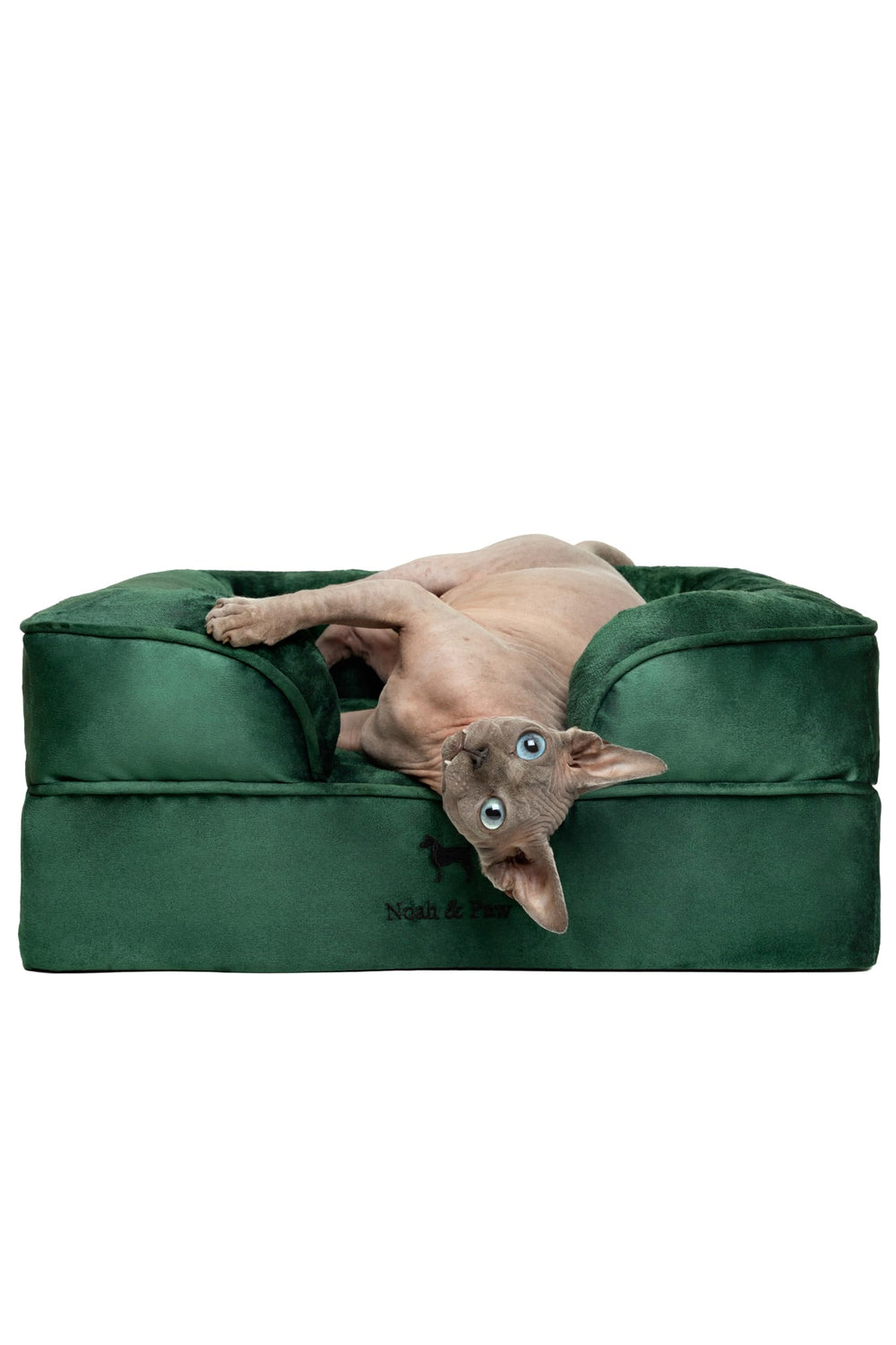 NOAH & PAW cama ortopédica para perros con soporte ergonómico para articulaciones.