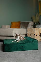 Cama NOAH & PAW con gel enfriante para regular temperatura durante el descanso.