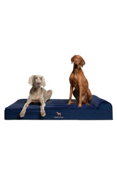NOAH & PAW cama ortopédica XXL para perros grandes con soporte.
