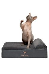 Cama NOAH & PAW para perro pequeño ortopédica, soporte cómodo para articulaciones.