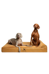Cama NOAH & PAW XXL para perros grandes, descanso amplio y cómodo