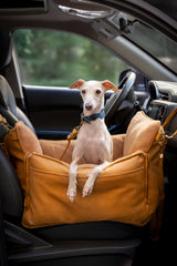 NOAH & PAW clip de arnés mantiene al perro sujeto durante el viaje.