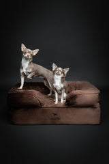 NOAH & PAW espuma memoria con gel refrescante para reposo