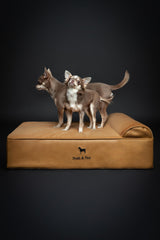 NOAH & PAW funda-impermeable-doble-cubierta para mayor protección.