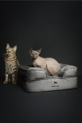 Funda interior impermeable NOAH & PAW facilita limpieza y protección para mascotas.