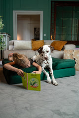 NOAH & PAW XL: funda interior y exterior para limpieza y protección.