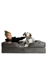 NOAH & PAW XL cama ortopédica con base de espuma para perros grandes