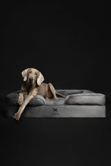 NOAH & PAW XL cubierta interna lavable para fácil limpieza