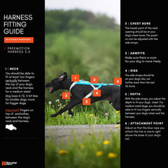 Non-stop dogwear Freemotion Harness para esquí canino, distribución de tirón y seguridad.