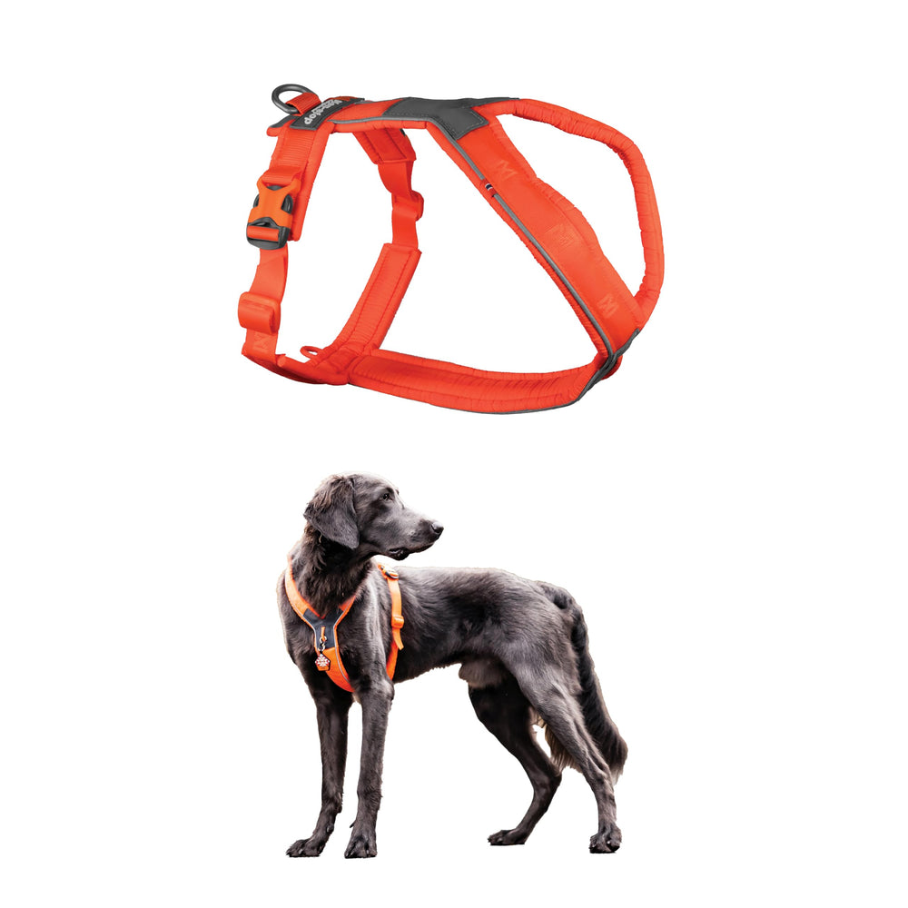 Arnés acolchado Non-stop dogwear Line Harness 5.0 para perros medianos, comodidad en paseos largos