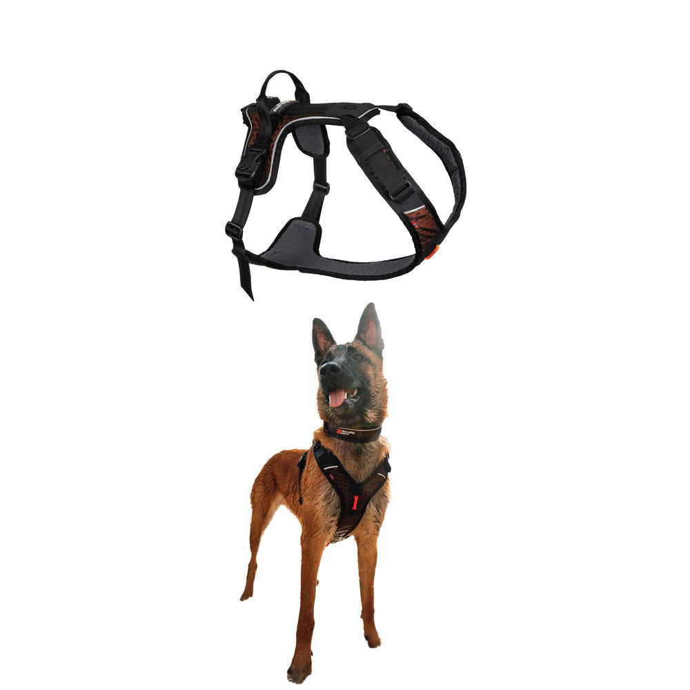 Arnés Rock de Non-stop dogwear visto frontal, ajuste cómodo para perros medianos.
