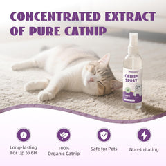 Nonaginta Neblina de Hierba Gatuna sobre juguete revitalizado para gatos curiosos.