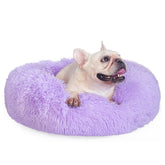 Cama dona de nononfish para perros pequeños, descanso suave.
