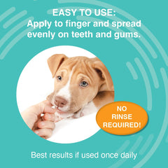 Nootie, elimina placa y sarro en perros para mejor higiene oral.