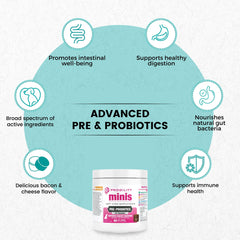 Masticables digestivos de Nootie Progility Mini para la salud intestinal.