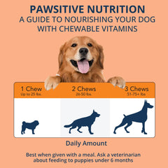 NOVEHA gomitas probióticas para perros, detalle de la mezcla de fibras, mejora digestiva.