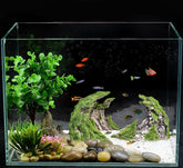 Novelsite, escena submarina decorativa, realza la estética y el ambiente del acuario.