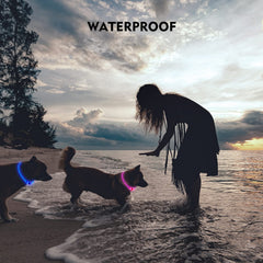 Novkin collar LED IP67 resistente al agua y al polvo para cualquier clima.
