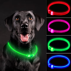 Novkin collar LED para perros con visibilidad nocturna para caminatas seguras.