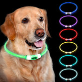 Novkin collar luz LED para mayor visibilidad nocturna.