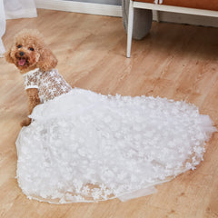 NOWDER encaje floral en vestido de perro, perfecto para sesiones