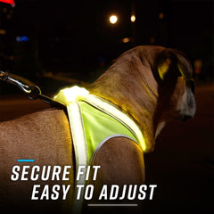 Noxgear LightHound iluminación 360 grados para detectar al perro desde lejos.