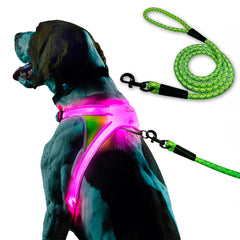 Noxgear LightHound vest con iluminación multicolor para paseos nocturnos seguros