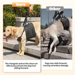 Arnés NOYAL rehabilitación postoperatoria ofrece soporte estable