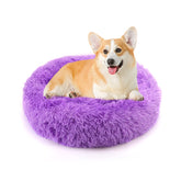 Cama NOYAL dona antiansiedad para perros pequenos con borde elevado