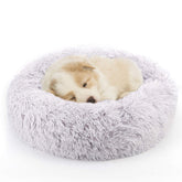 La cama NOYAL Donut para perro pequeño ofrece confort y seguridad para dormir.