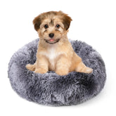 NOYAL cama rosquilla para perros pequeños con borde envolvente para mayor seguridad.