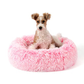 NOYAL Cama-rosquilla para perros, vista general, descanso cómodo y seguro.