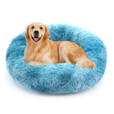 NOYAL Cama Donut con borde elevado para dormir seguro.